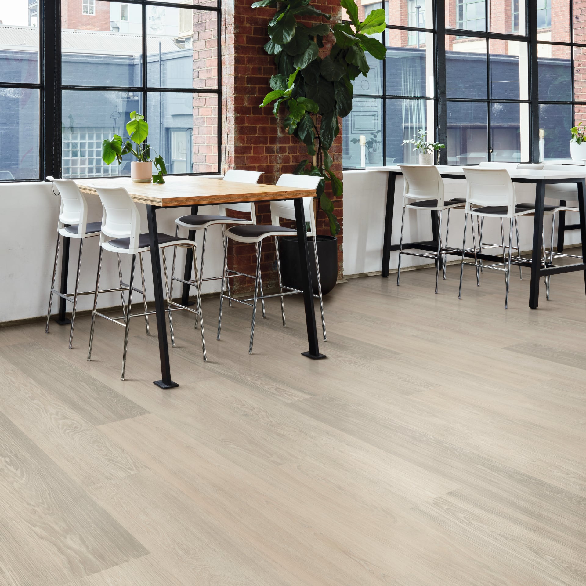 Cashmere Oak